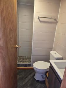 a bathroom with a toilet and a shower at Cabaña full A1 in Punta Arenas