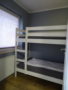 een slaapkamer met twee stapelbedden en een raam bij Fewo-Seebaer in Friedrichskoog +24 foto's