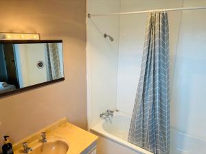 een badkamer met wastafel en douche met spiegel bij Awatea Park Motel in Palmerston North +27 foto's