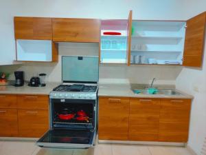 een keuken met een fornuis en een spoelbak bij Casa Lisboa in Saltillo +2 foto's