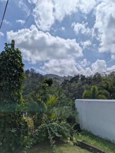uitzicht op de bergen vanuit een tuin bij Felix Holiday Bungalow in Ella