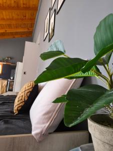 Posezení v ubytování Temporario RG