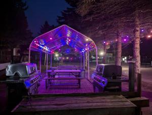 een groep picknicktafels met paarse lampjes erop bij Tiny Wood Cottage 19 in Wasaga Beach +12 foto's