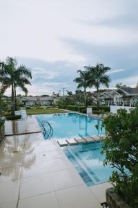 une grande piscine avec chaises et palmiers dans l'établissement Villa Serena, à Dauis
