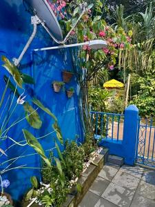 En have udenfor BLUE HOUSE CONEXÃO ILHA GRANDE