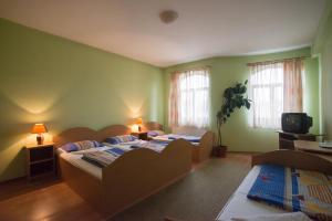 2 camas en una habitación con paredes y ventanas verdes en Béluci Panzió, en Odorheiu Secuiesc