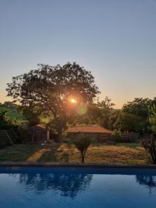 un tramonto su una piscina con un albero di 10 min from Futuroscope, contemporary villa! a Saint-Cyr