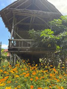 Zahrada ubytování OBT Homestay and Bungalows