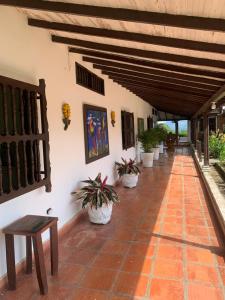 un couloir d'une maison avec des plantes en pot dans l'établissement Finca Hotel El Juncal, à Venecia