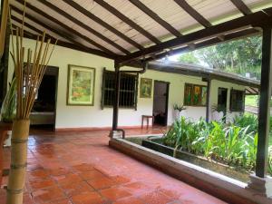 une terrasse extérieure avec une pergola et des plantes dans l'établissement Finca Hotel El Juncal, à Venecia 19 autres photos