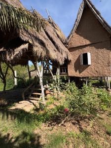 Příroda nedaleko penzionu