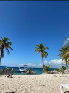 una spiaggia sabbiosa con palme e l'oceano di Fully furnished 2 bedroom appart a Bayahibe Altre 10 foto
