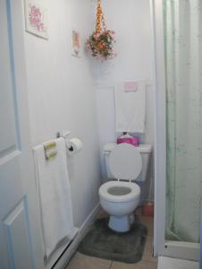 y baño pequeño con aseo y ducha. en Maison de campagne le Nichouette, en Les Éboulements