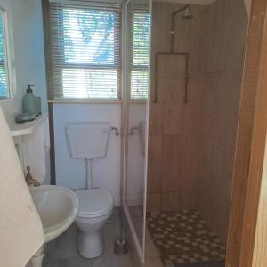 een badkamer met een douche, een toilet en een wastafel bij Alex's overnight in Heidelberg