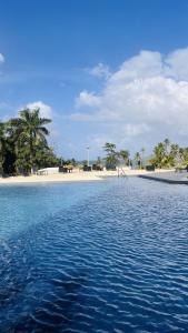 Phong cảnh thiên nhiên gần căn hộ +9 ảnh