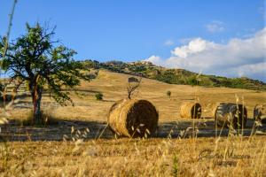 Gallery image of B&B Casa Magaldi in Corleto Perticara