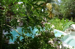 Bazén v ubytování Casa Iguana Holbox - Beachfront Hotel nebo v jeho okolí