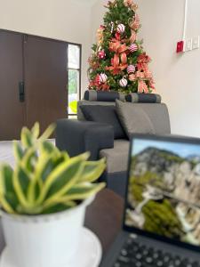 a living room with a christmas tree and a laptop at Lindelle Place Palawan in Puerto Princesa City