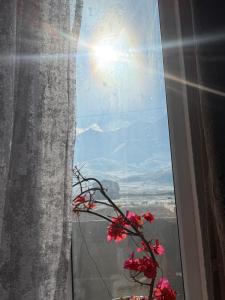 een bloem in een raam met uitzicht bij Gulbara Guest House in Toguz-Bulak