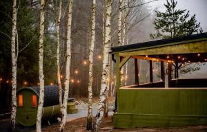 een groene hut in een bos met bomen 's nachts bij Karmuszka Leśna Weranda in Łukta