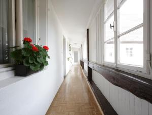 ein Flur mit einer Topfpflanze und Fenstern in der Unterkunft Hotel Scheidels Kranz in Kenzingen