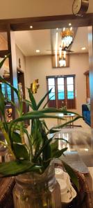 a room with a table with a plant in a vase at Wantara Villa in Vagamon