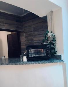 Køkken eller tekøkken på Shipa Nubian Guest House