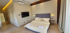 een slaapkamer met twee bedden en een flatscreen-tv bij Exceptional villa with pool in Sendou in Siendou +19 foto's