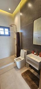 een badkamer met een wit toilet en een wastafel bij Exceptional villa with pool in Sendou in Siendou