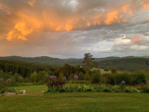a view of a field with flowers and trees at Armadale Cottage in Lidgetton