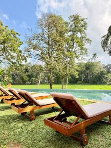 une rangée de chaises longues installées au bord d'une piscine dans l'établissement Bela Ahangama, à Ahangama