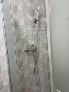 a shower door with a shower head on a wall at apartament 1 camera in Roşu