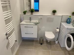 een kleine badkamer met een wastafel en een toilet bij 4-Bett-Appartement am Golfplatz in Grassau +18 foto's