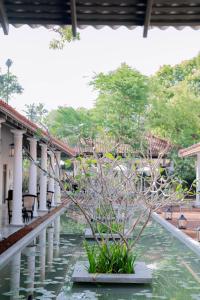 Zahrada ubytování Rekawa Wellness Resort