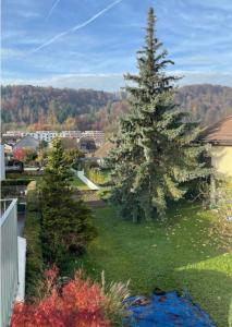 Naturlandskabet i nærheden af lejligheden