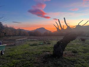 Příroda nedaleko prázdninového domu + 3 fotografie
