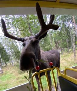 Billede fra billedgalleriet på Hus i Orkelljunga