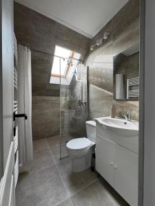 een badkamer met toilet en wastafel bij Tudors Rooms in Mediaş