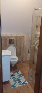 a bathroom with a toilet and a glass shower at Pokoje gościnne u Sołtysów in Jurgów