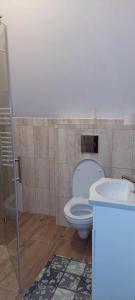 a bathroom with a toilet and a sink at Pokoje gościnne u Sołtysów in Jurgów