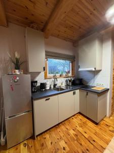 Kuchyň nebo kuchyňský kout v ubytování PINCIKAJAS Holiday Home