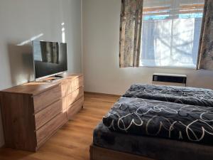 Giường trong phòng chung tại Private Riverside Apartment Brno +9 ảnh