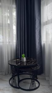a black table with a potted plant on top of it at Uduak Lodge in Harare