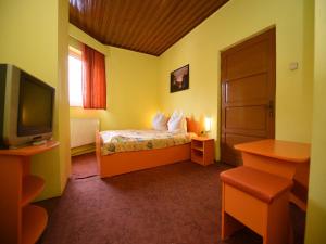 a hotel room with a bed and a television at Vila Belvedere in Haţeg
