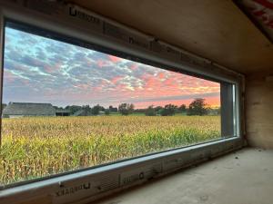 una finestra con vista su un campo di mais di De Hombrake, Bed & Breakfast a Wilp Altre 10 foto