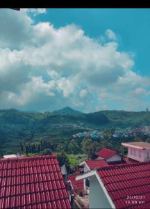 Cảnh núi rừng hoặc tầm nhìn ra núi từ resort