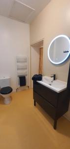 een badkamer met een wastafel, een toilet en een spiegel bij Atypique Vendee in Luçon