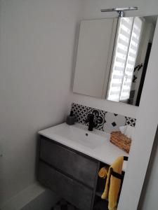 un bagno con lavandino e specchio di Chambres d'hôte d'Amboise a Amboise