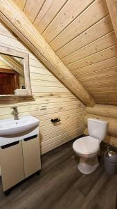 a bathroom with a toilet and a sink in a log cabin at Derevo House in Yasinya +43 photos