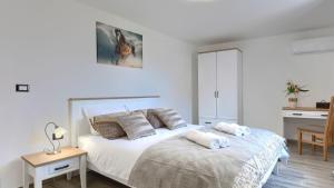 Afbeelding uit fotogalerij van Rustic villa Pietro with panoramic view in Motovun in Motovun